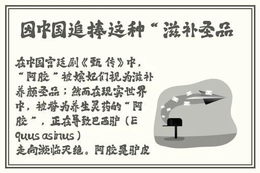 聊一聊你和女朋友的第一次